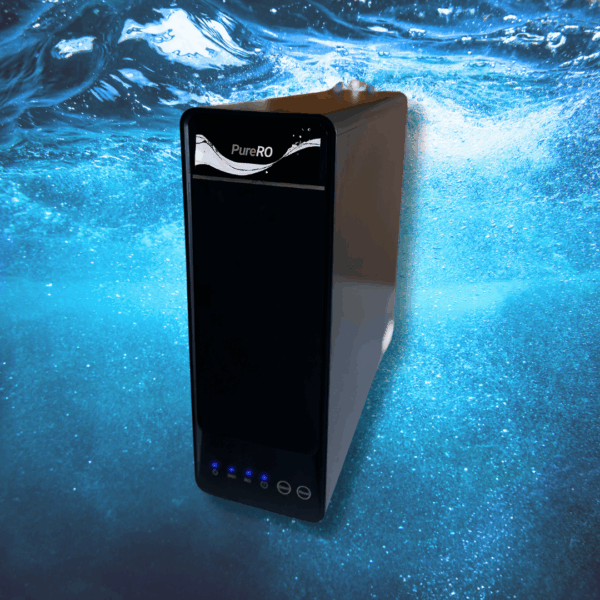 Reverse Osmosis (RO)